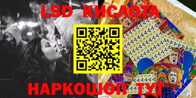 стаф Бийск