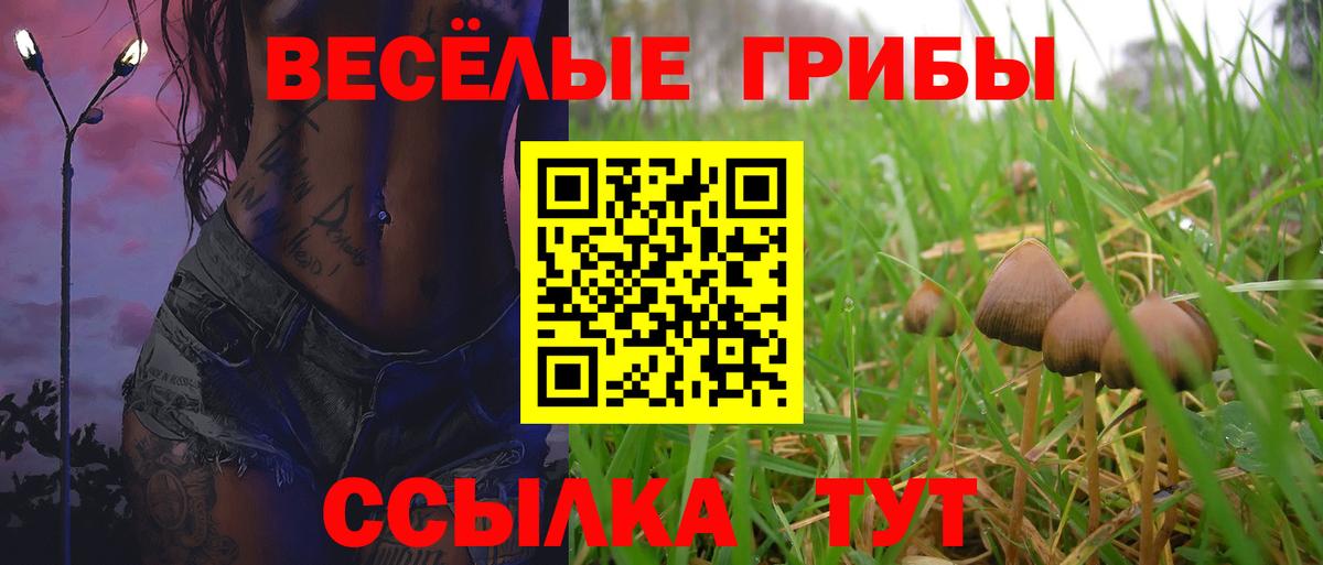 Псилоцибиновые грибы мухоморы Верхний Уфалей